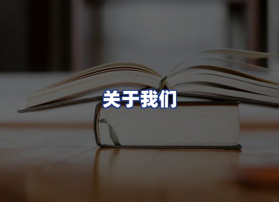 专业团队