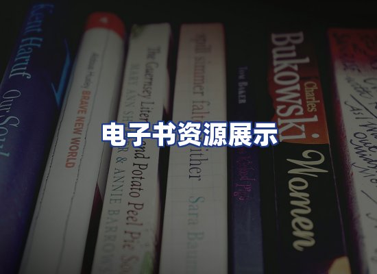 电子书资源展示